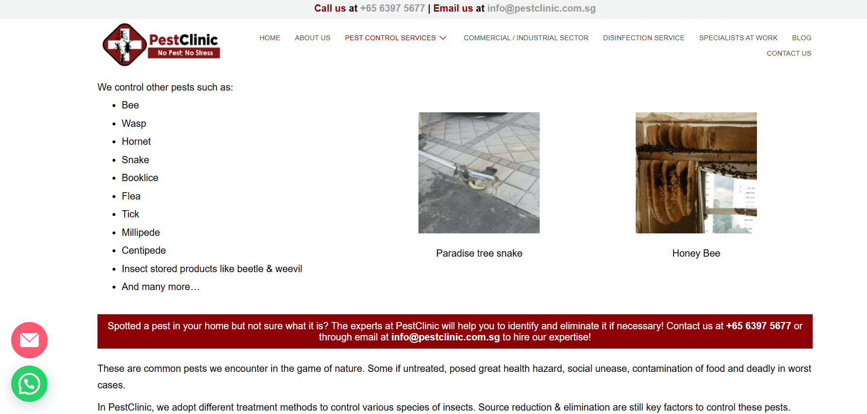 PestClinic Wasp Nest Removal Singapore