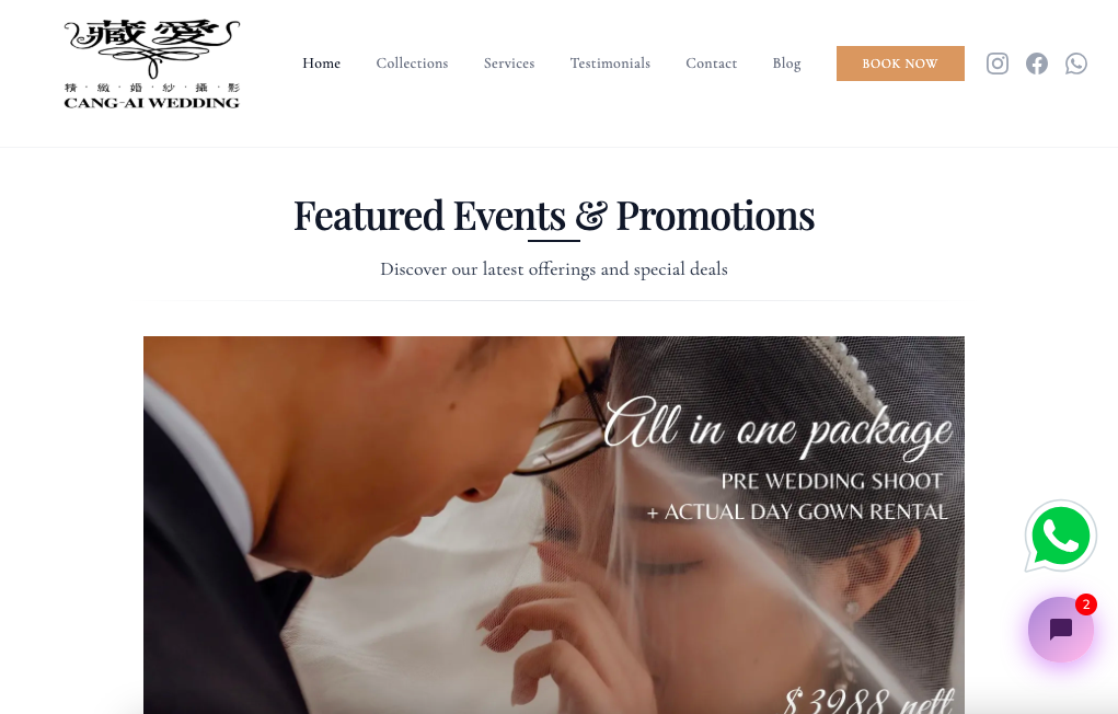 Cang Ai Wedding Wedding Gown Singapore