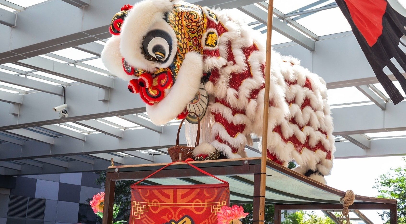 He Xin Lion & Dragon Arts Troupe Singapore