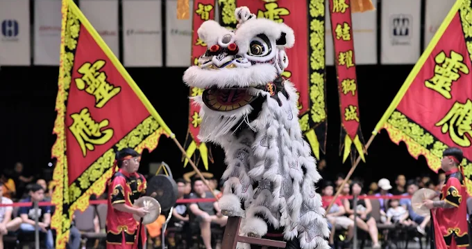 Ling Ying Athletic Association Singapore Lion Dance Troupe Singapore