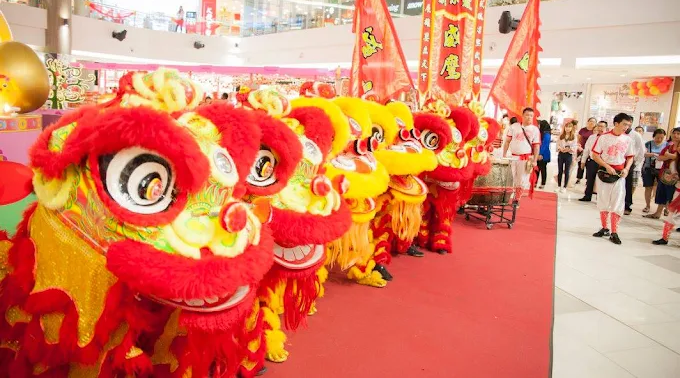 Wei Eng Dragon & Lion Dance Centre Service Singapore