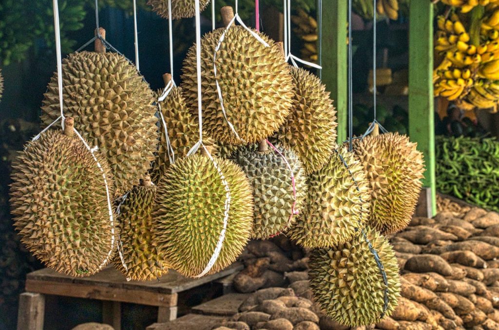 Best Durian Places In Singapore