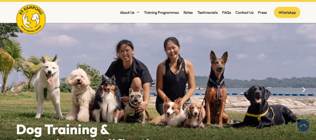 K9 Kampong Dog Training Singapore