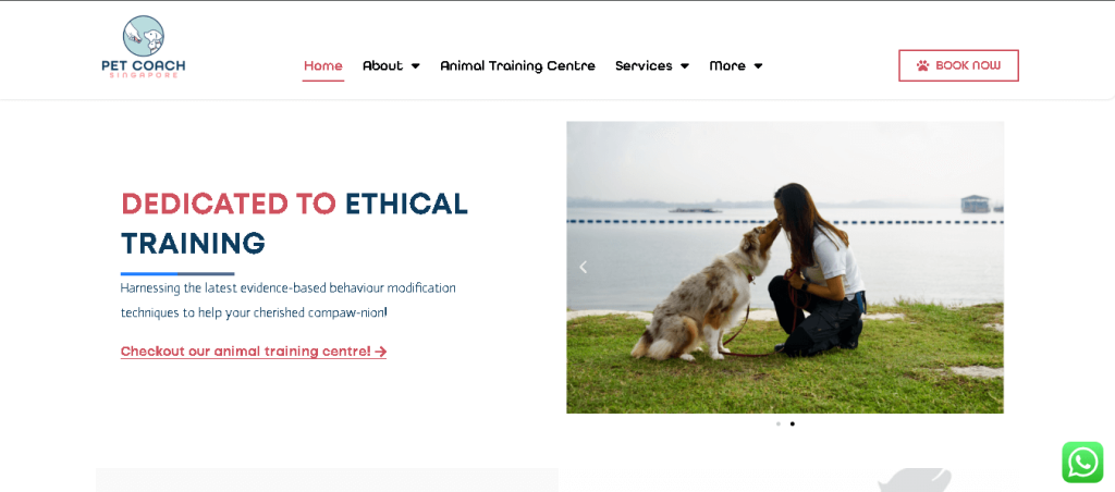 Pet Coach SG Dog Training