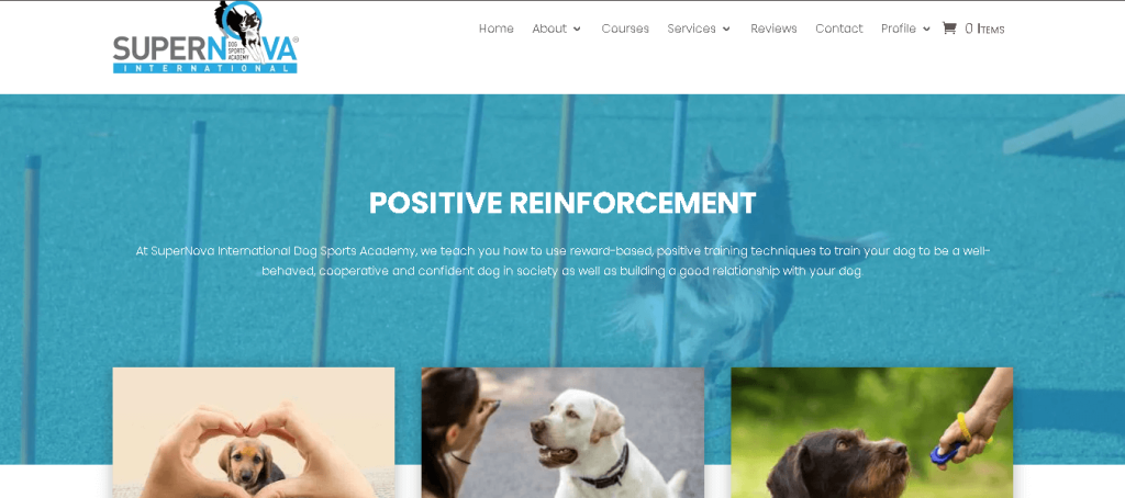 SuperNova International Dog Sports Academy Singapore
