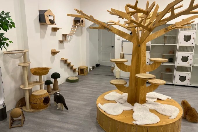 Gem Cat Café Singapore