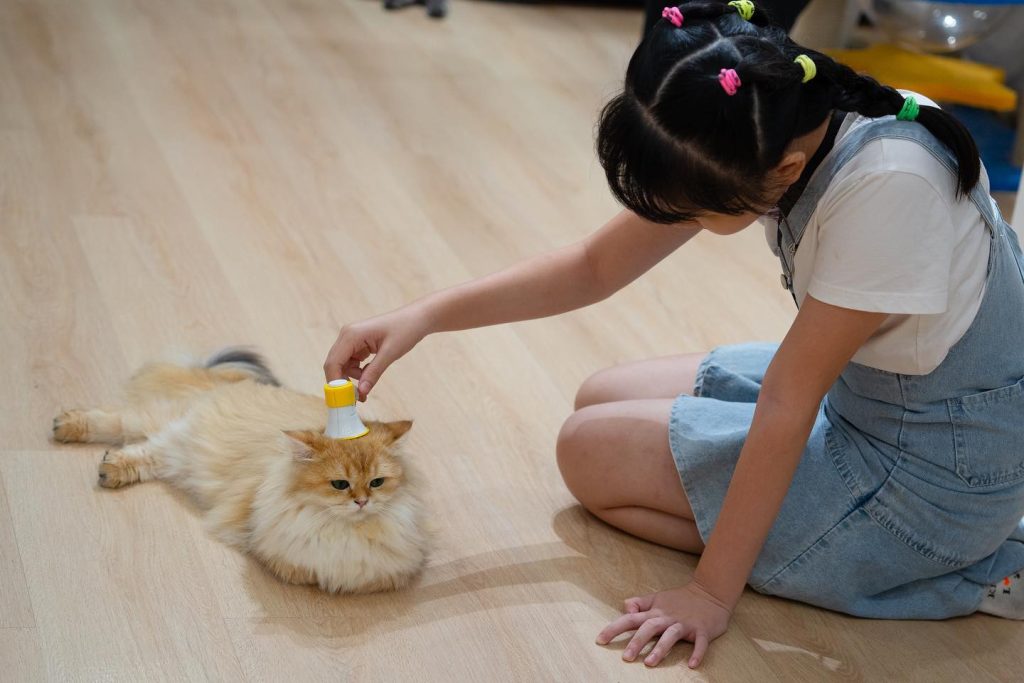 NekoTown Cat Cafe Singapore
