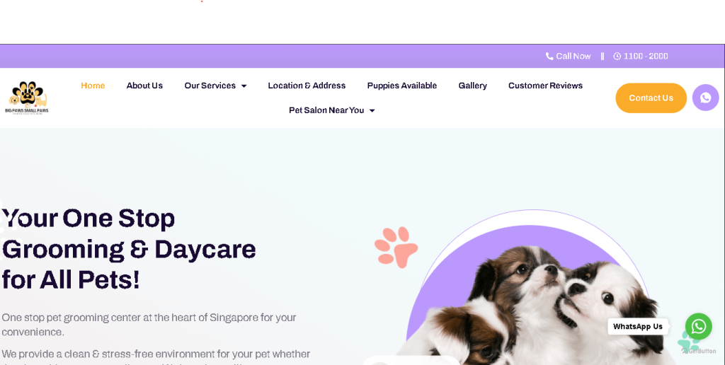 BIG PAWS SMALL PAWS Pet Grooming Singapore