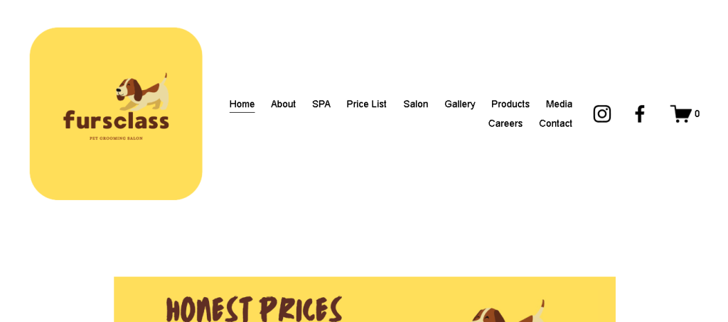 Fursclass Pet Grooming Salon Singapore