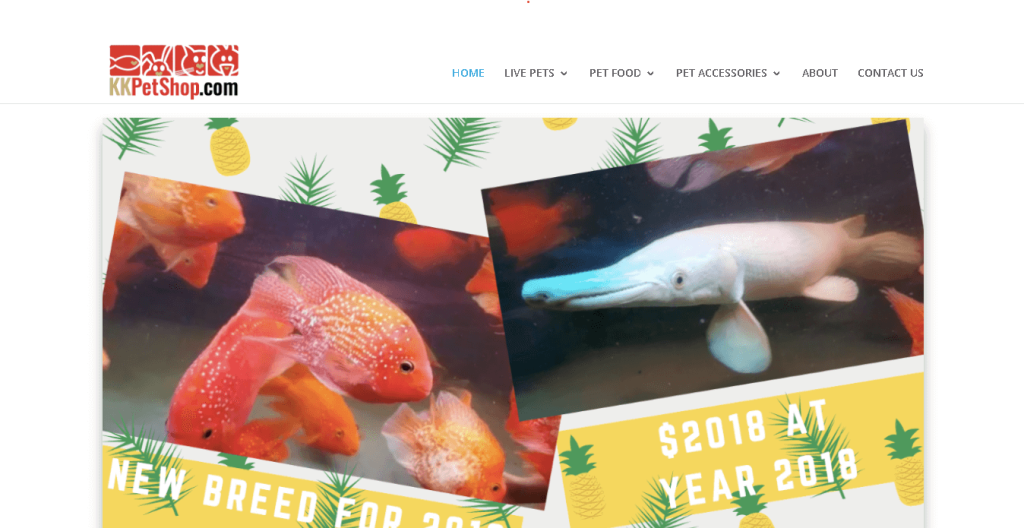 K & K Aquarium & Birds Centre Singapore