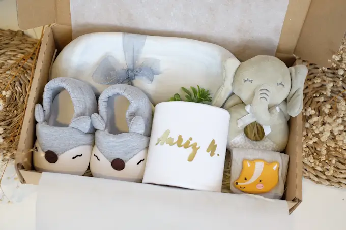 Le Petit Pumpkin Newborn Hamper Singapore