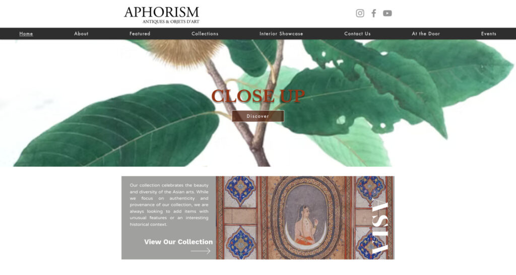Aphorism Best Antique Shops Singapore
