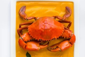 Chin Huat Live Seafood Chili Crab Singapore