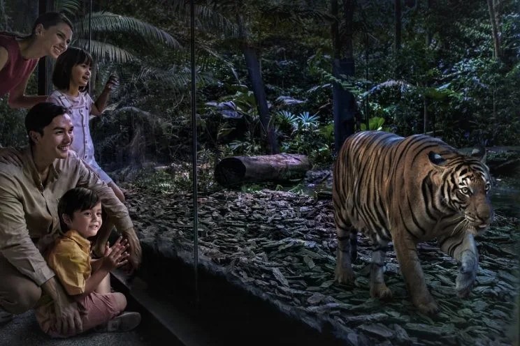 Nocturnal Wildlife Adventure For Date Idea In Singapore